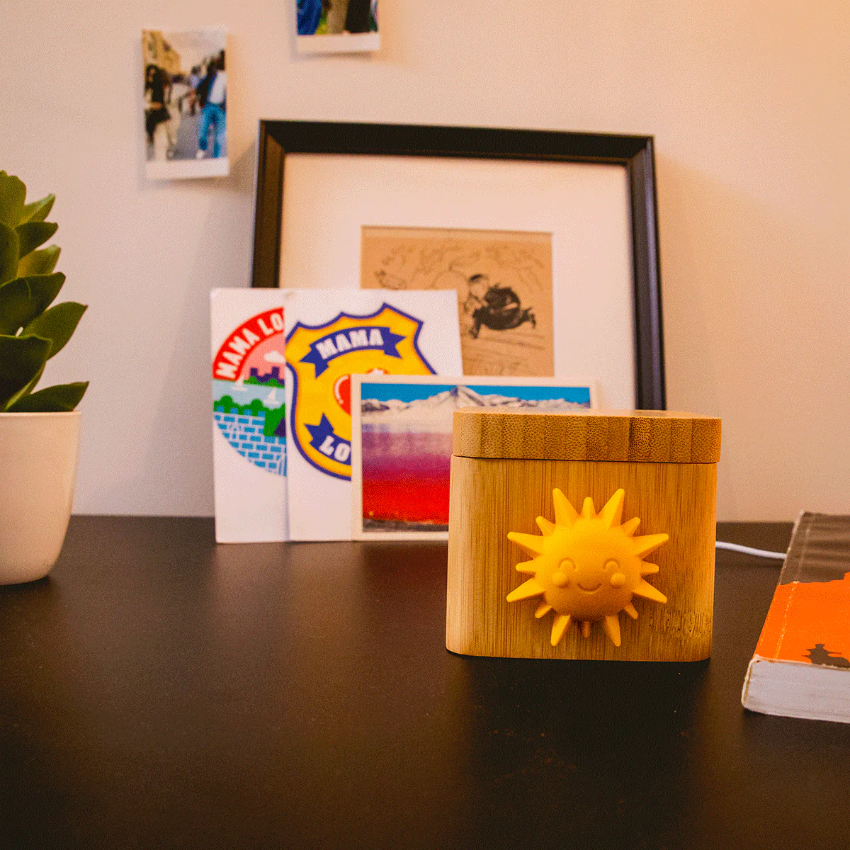 Sunny Spinny - Image 4